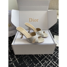 Christian Dior Slippers